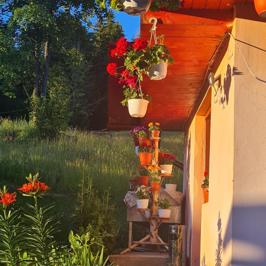 Cabana Cret Ocoale Exterior foto